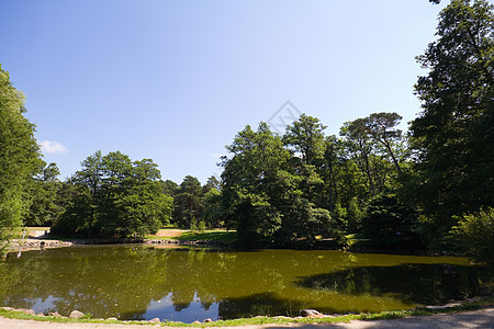 夏季公园湖湖图片