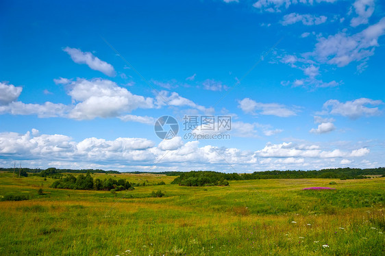 夏季风景牧场叶子农场蓝色孤独天空场地土地美化农业图片