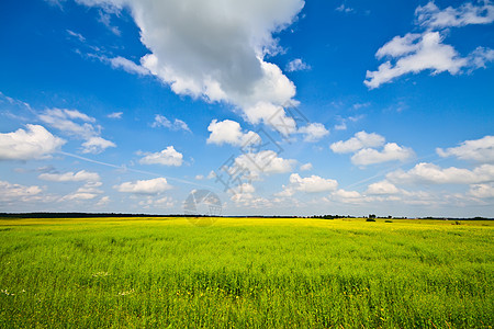 夏季风景场景牧场孤独小麦季节美化自由农场太阳地平线图片