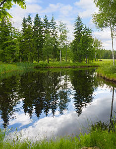 森林湖天空高尔夫球蓝色池塘反射叶子松树旅行土地树木图片