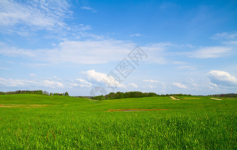 夏季风景太阳场景季节场地自由小麦叶子地平线爬坡蓝色图片