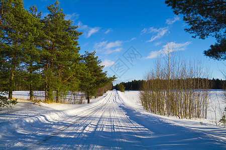 冬季风景运动蓝色树木季节荒野人行道小路脚印太阳气候图片