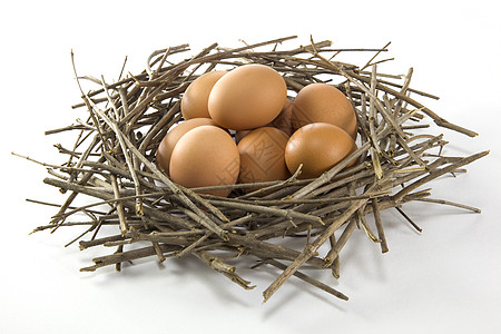 蛋积累棕色饮食团体繁荣财富人群食物营养背景图片