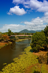 前往库兰达的路上有雨林岩石风景旅行异国国家公园流动森林绿色植物情调图片