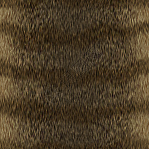 动物皮肤插图线条毛皮艺术荒野打印装饰品斑点条纹图片