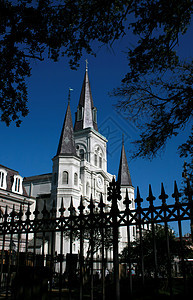 新奥尔良圣路易斯大教堂前的栅栏图片