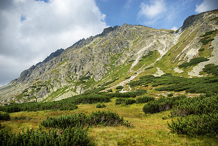 塔塔山蓝色森林冒险顶峰绿色树木天空热情山脉草地图片