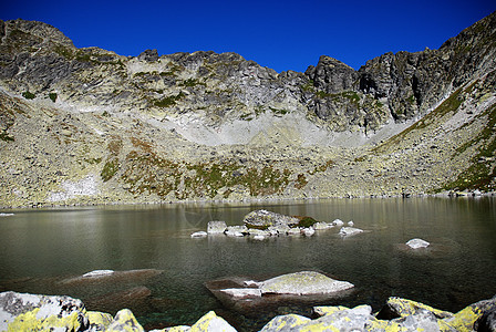 塔塔山绿色顶峰树木冒险海拔场景热情山脉蓝色山峰图片