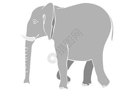 行走的大象矢量图绘画食草象鼻树干动物耳朵哺乳动物鼻类大耳朵背景图片