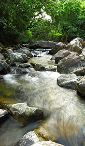 森林中的泉水岩石叶子风景石头环境荒野玻璃太阳流动热带图片