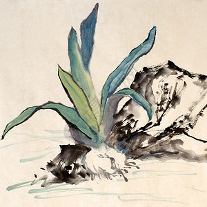 中文绘画黑色植物刷子帆布衬套文化传统书法插图艺术图片