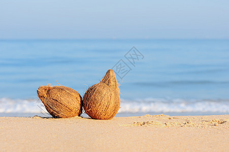 两个椰子假期水果海景坚果情调支撑天空旅游天堂食物图片