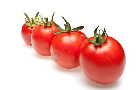 西红柿排成一行植物绿色阴影团体食物蔬菜水果市场养分工作室图片