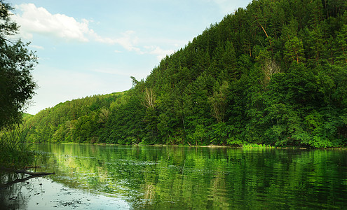 图景林和河流假期溪流树木植物叶子国家反射风景荒野衬套图片