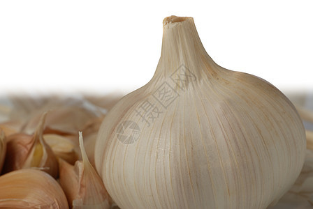 Garlic 后甲状石图片