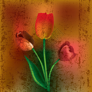 抽象花纹插图曲线植物卡通片艺术作品绘画叶子圆圈玫瑰滚动图片