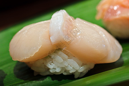 叶子百折扇扇菜寿司美食海鲜火锅食物寿司绿色扇贝叶子宏观背景