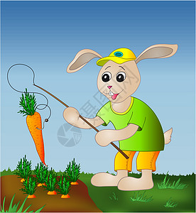 捕兔子胡萝卜动物园口粮耳朵乐趣野兔运动食品童年绿色绘画图片