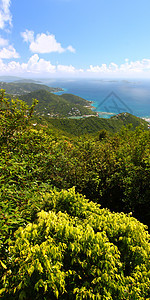 托尔托拉全景热带蓝色晴天海洋国家爬坡海岸森林天堂植被图片