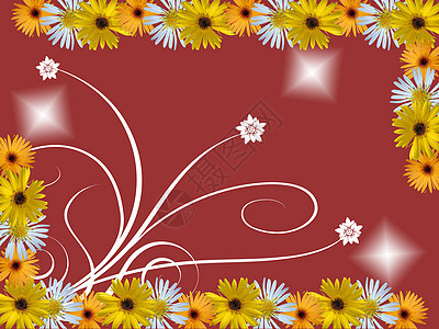 花花框植物群花店生日边界装饰品花园叶子雏菊花瓣橙子图片