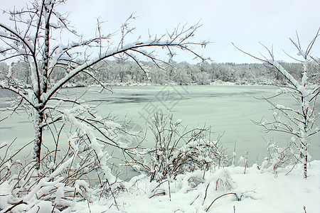 皮尔斯湖降雪  伊利诺伊州生物学场景环境寒冷天气土地荒野公园岩石栖息地图片