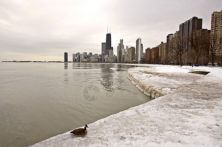 芝加哥市中心市商业办公室建筑学天际反射建筑景观街道摩天大楼都市图片