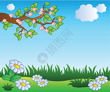 春草草地与花菊场地艺术品场景雏菊花园叶子植物群季节载体生态图片