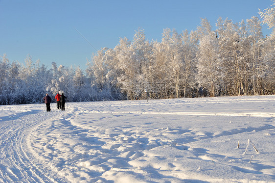 阿拉斯加冬季期间多用途娱乐轨迹机器奶制品踪迹滑雪荒野场地雪橇野生动物奶精森林图片