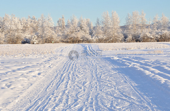 阿拉斯加冬季期间多用途娱乐轨迹机器雪橇滑雪森林奶制品荒野桦木避难所踪迹场地图片