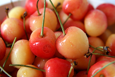樱桃甜点果汁黄色维生素宏观浆果食物红色水果图片
