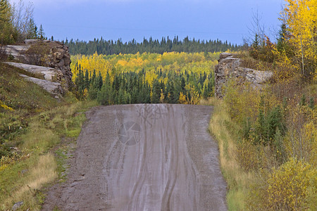 秋天马尼托巴省北部公路荒野背景图片