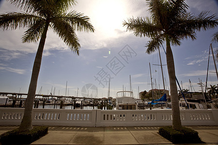 布伦登顿佛罗里达州人行道风景海景路灯植物群旅行水平蓝天树木建筑物背景图片