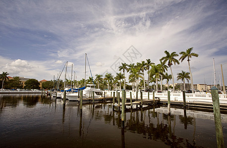 布伦登顿佛罗里达州植物群建筑物树木水平海景旅行风景蓝天反射背景图片