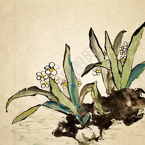 中国花花艺术品植物群艺术手工文化花朵绘画花园衬套传统图片