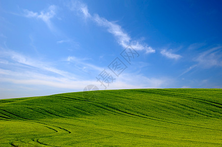 绿山和蓝天空晴天收成曲线爬坡农田天空农村风景季节环境图片