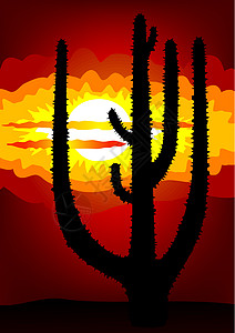 墨西哥日落 - 矢量图片
