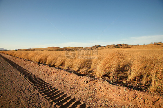 纳米比亚的轮胎轨迹概念土地荒野驾驶岩石纳米布环境小路旅行风景图片
