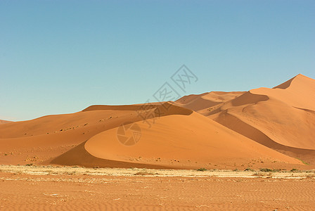 纳米比亚索苏苏夫莱沙漠线条场地荒野沙漠太阳风景干旱沙丘纳米布生态图片