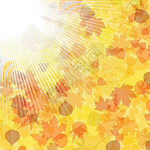 秋叶和阳光 EPS 8森林场景阳光照射公园橙子天空射线季节蓝色太阳图片