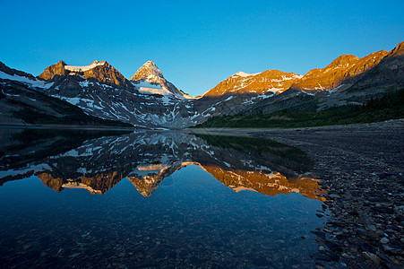 Assiniboine山 有反射高山冰川公园顶峰首脑图片