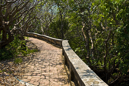 普拉纳孔奇里花园旅游森林木板闲暇踪迹公园绿色国家海岸旅行图片