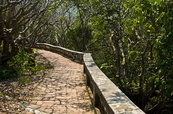 普拉纳孔奇里花园旅游森林木板闲暇踪迹公园绿色国家海岸旅行图片