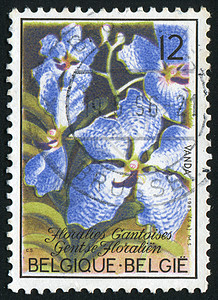 标记 M爱好集邮生长信封花瓣邮局兰花植物植物群卡片图片
