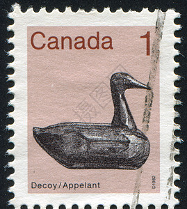 标记 M信封明信片水禽诱饵邮戳历史性海豹邮件鸭子动物图片