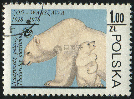 标记 M母亲家庭捕食者集邮邮戳野生动物卡片信封邮件幼兽图片
