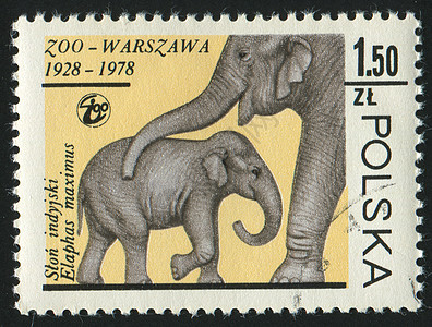 标记 M野生动物集邮象科荒野地址象牙邮票力量食草耳朵图片