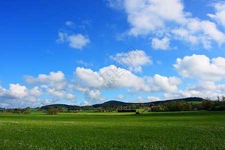 夏季夏月院子雏菊环境乐趣草地假期自由晴天极乐牧场图片