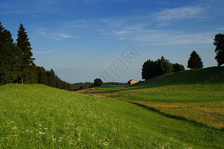 夏季风景多云场景天空植物群乡村晴天草地环境地面农村图片