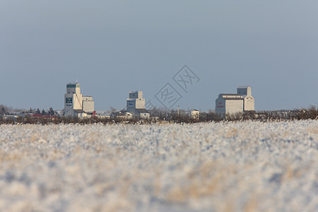 加拿大冬季的Frost和谷物电梯农田食物建筑大部分商业玉米剩余植物种子贸易图片