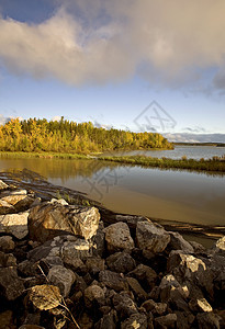 秋季Thompson附近北部马尼托巴湖荒野图片